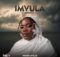 Nobuhle – Imvula Re-Birth (Album)
